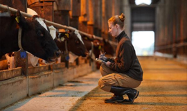 Animal Welfare Auditing